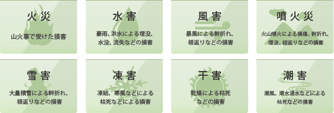 保険適用災害(火災、水害、風外、噴火災、雪害、凍害、干害、潮害)
