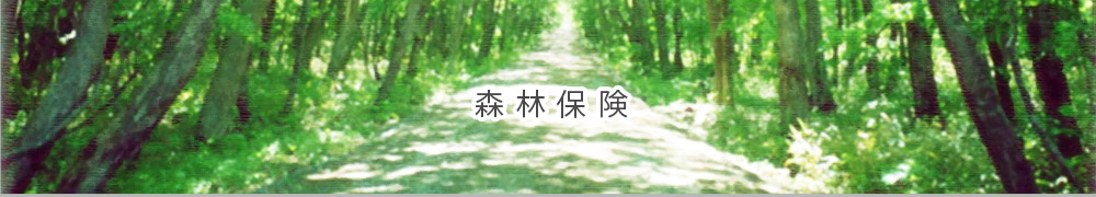 森林保険