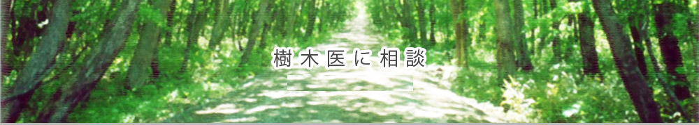 樹木医に相談　-みどりの110番-